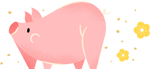 小豬
