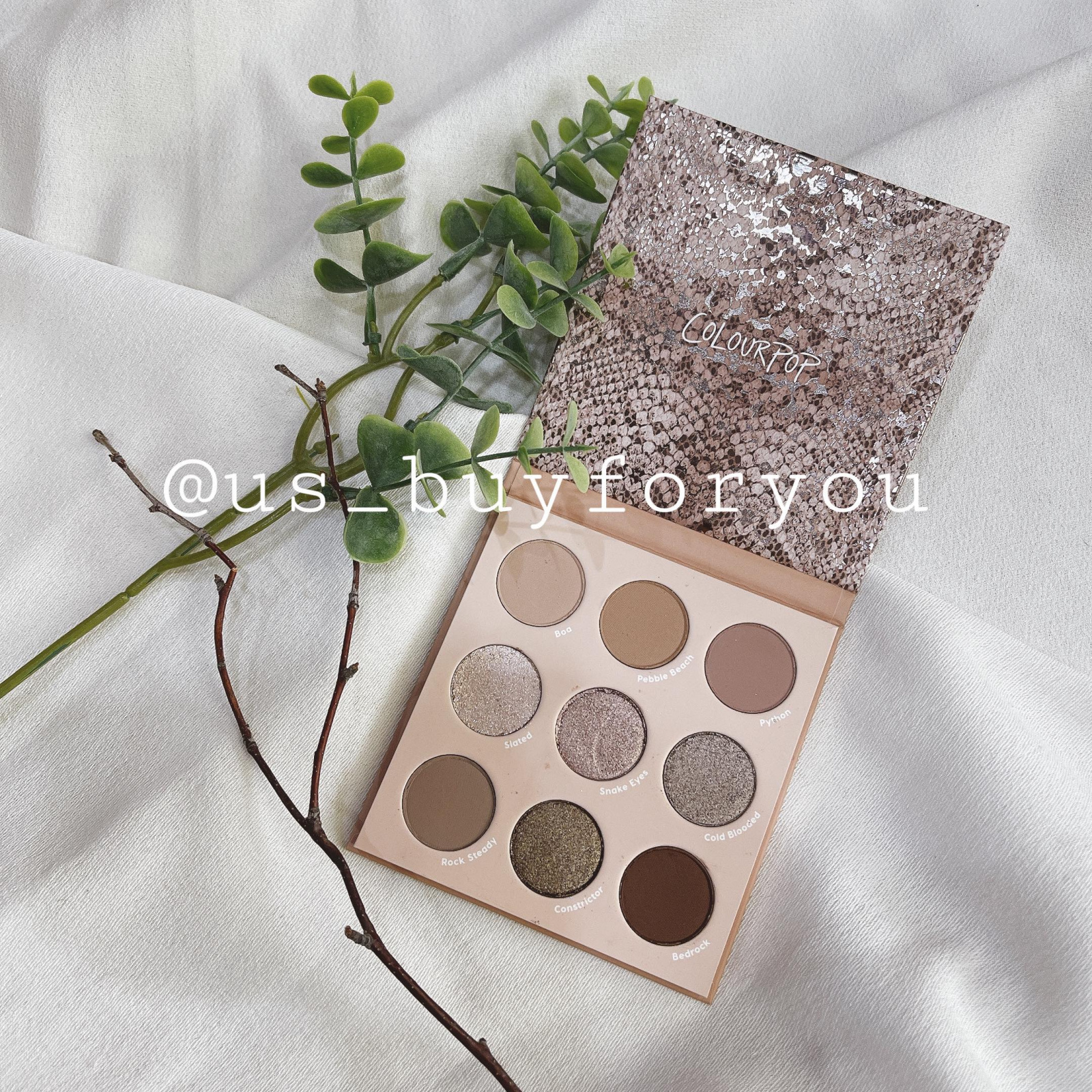 現貨 Colourpop 九宮格眼影盤 That S Taupe 翔飛行屋美國代購
